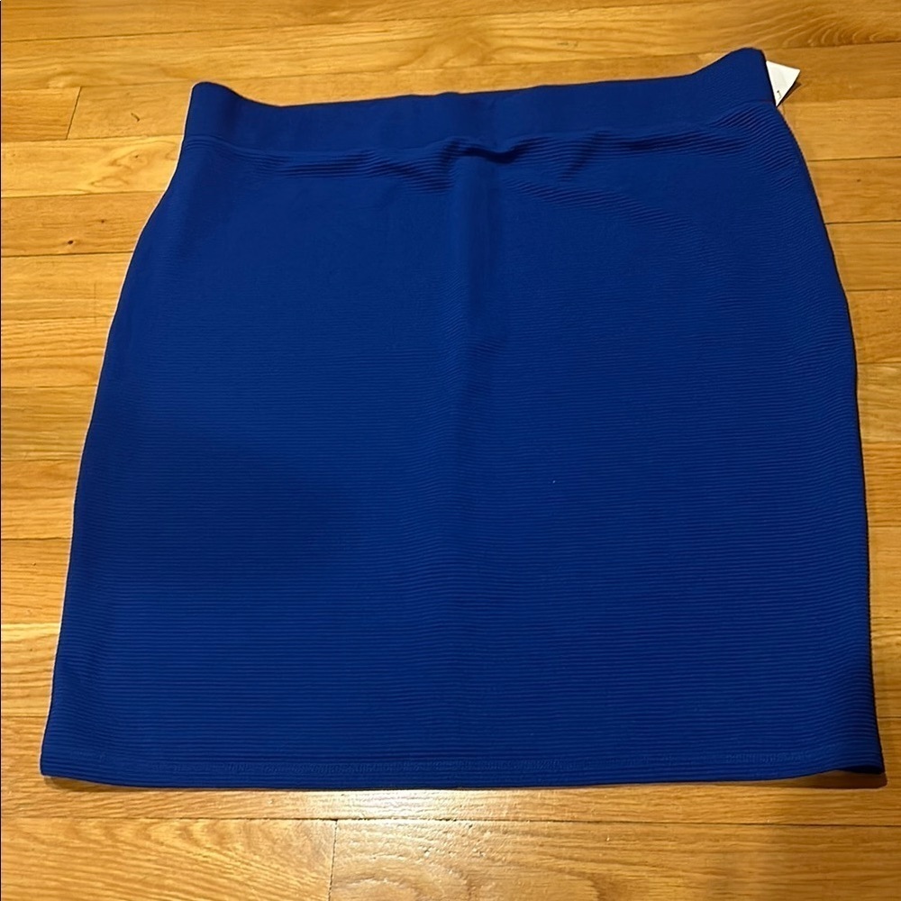 Elegant Blue Women's Skirt
